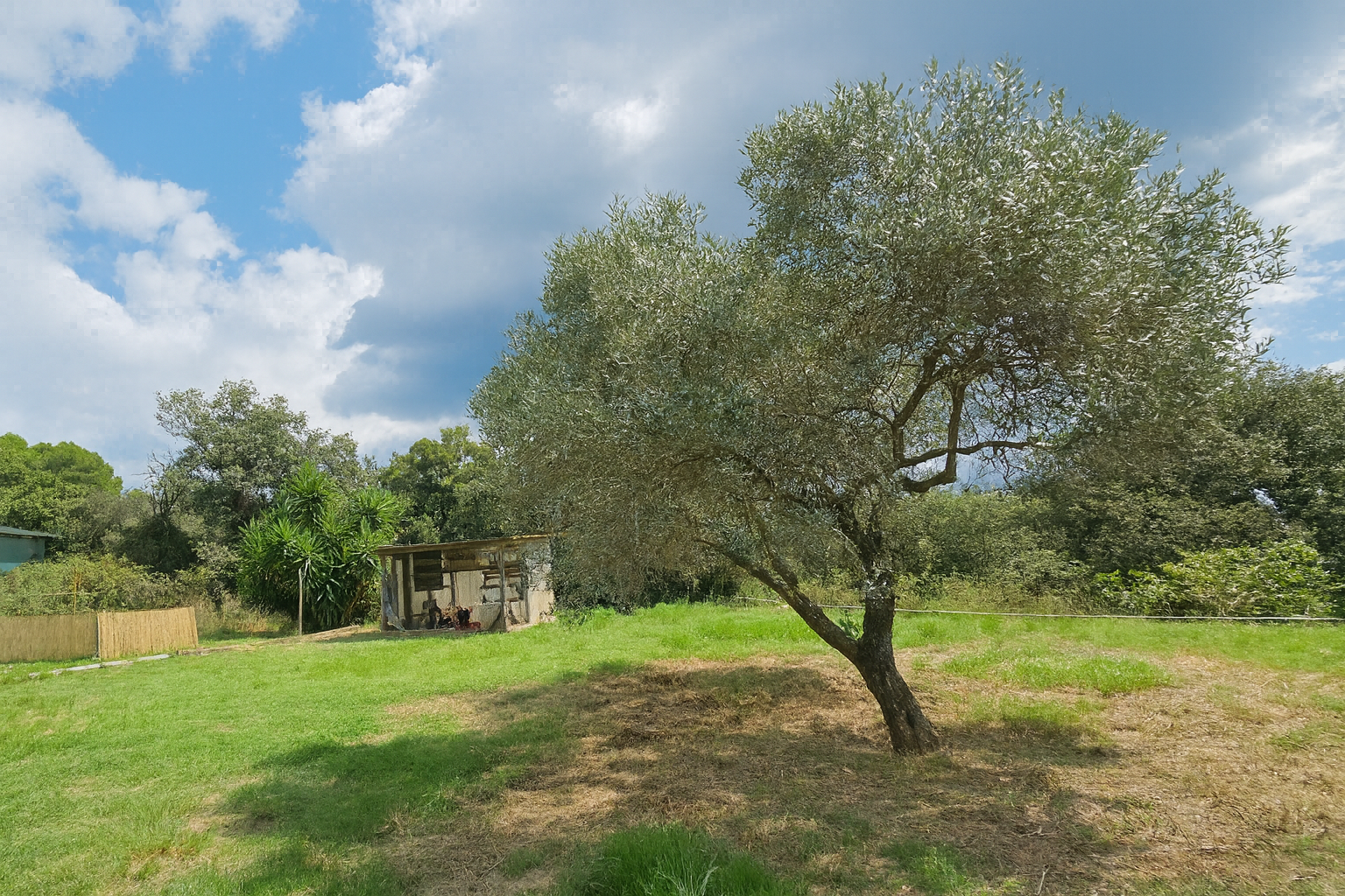 Masía restaurada en venta en Campins, Montseny, con 587 m² construidos, 150.000 m² de terreno llano, pozo propio, almacén, cuadras y vistas abiertas al bosque. Estilo rústico, materiales nobles y vida en calma.