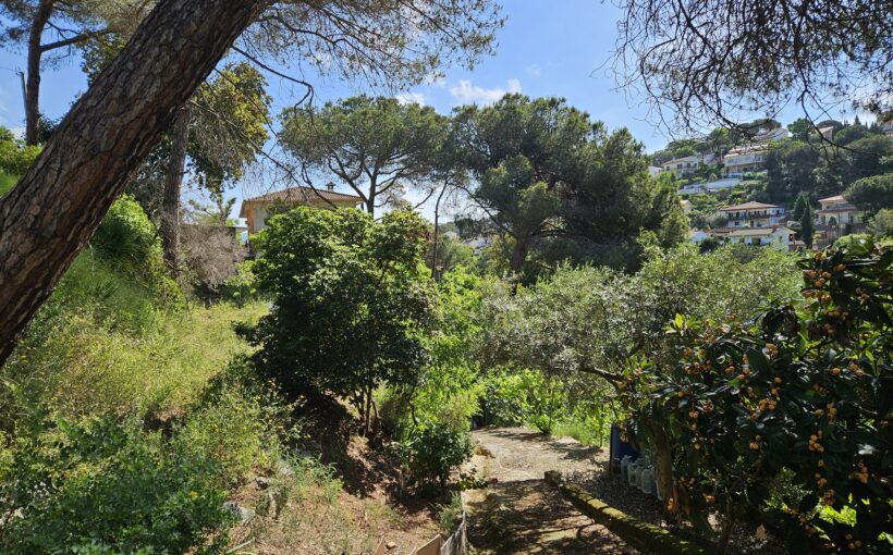 Terreno residencial urbano en Les Ginesteres, Argentona, parcela sin edificar en entorno natural del Maresme.
