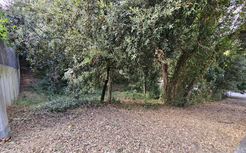 Terreno urbano edificable en Sant Pere de Vilamajor, Vallès Oriental, parcela arbolada de casi 1.000 m² rodeada de naturaleza cerca del Montseny.