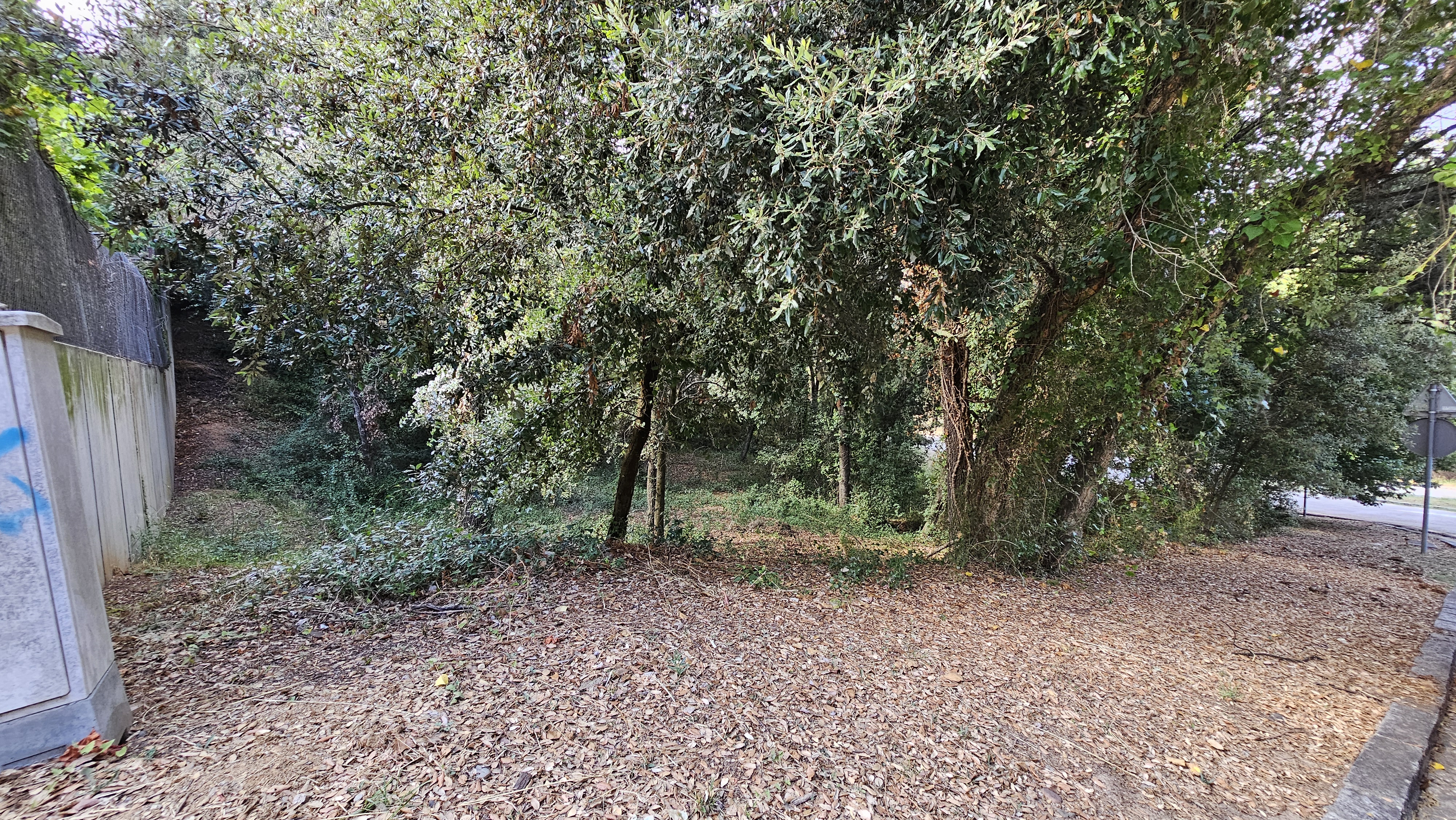 Terreno urbano edificable en Sant Pere de Vilamajor, Vallès Oriental, parcela arbolada de casi 1.000 m² rodeada de naturaleza cerca del Montseny.