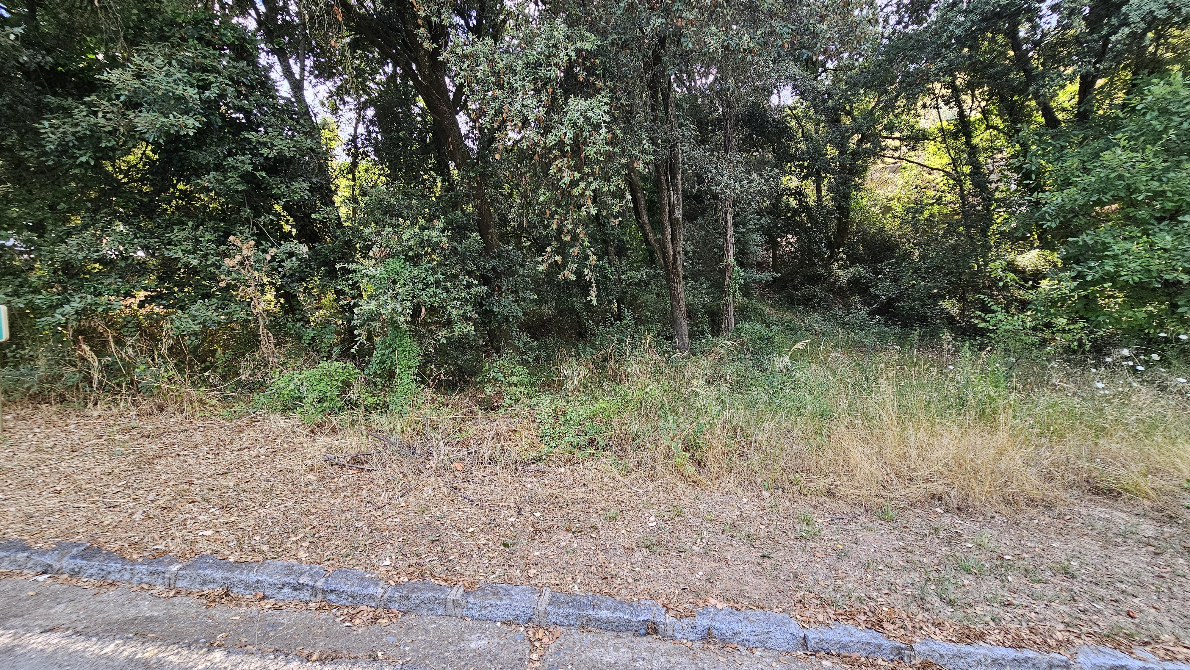 Terreno urbano edificable en Sant Pere de Vilamajor, Vallès Oriental, parcela arbolada de casi 1.000 m² rodeada de naturaleza cerca del Montseny.