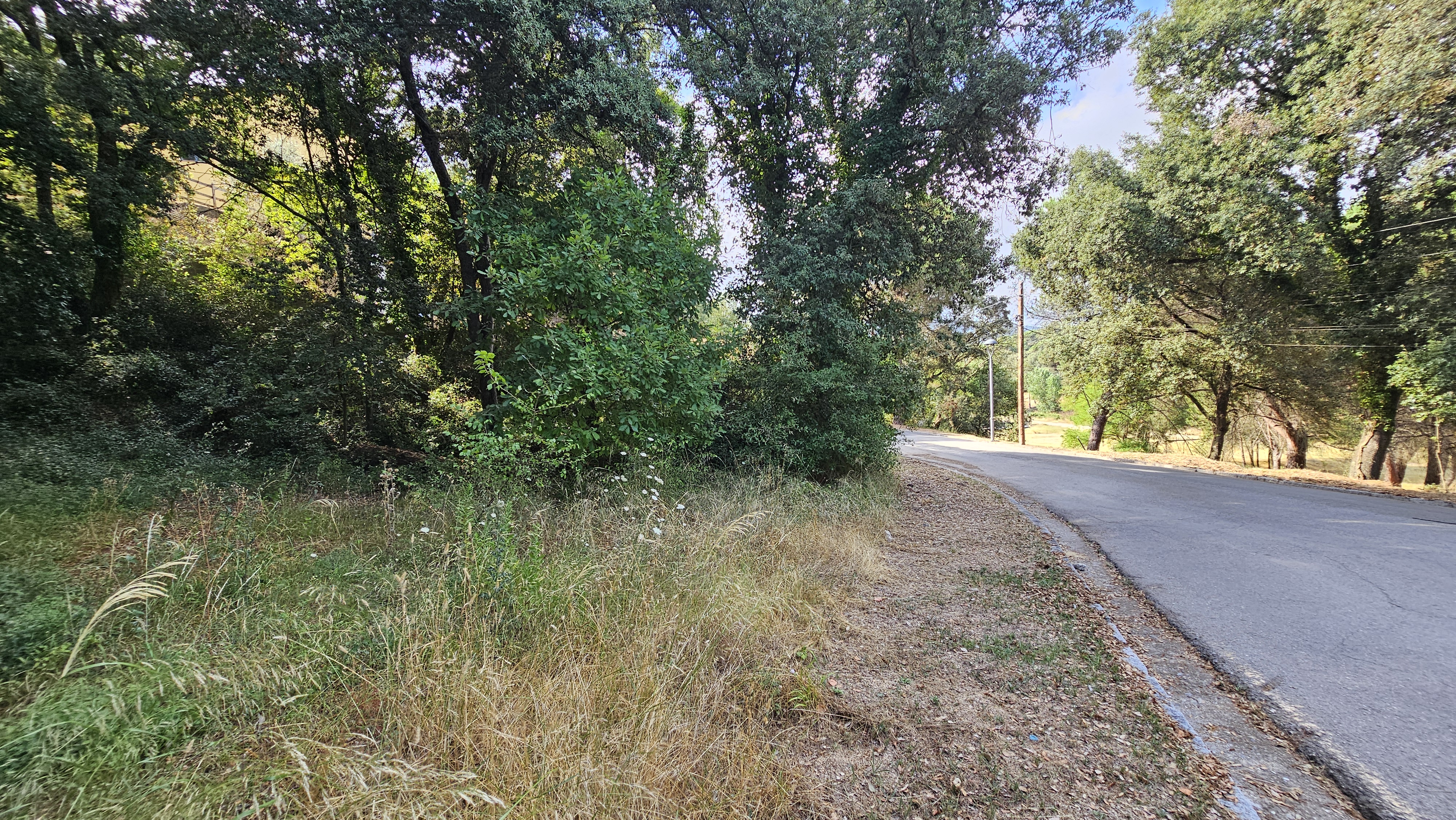Terreno urbano edificable en Sant Pere de Vilamajor, Vallès Oriental, parcela arbolada de casi 1.000 m² rodeada de naturaleza cerca del Montseny.
