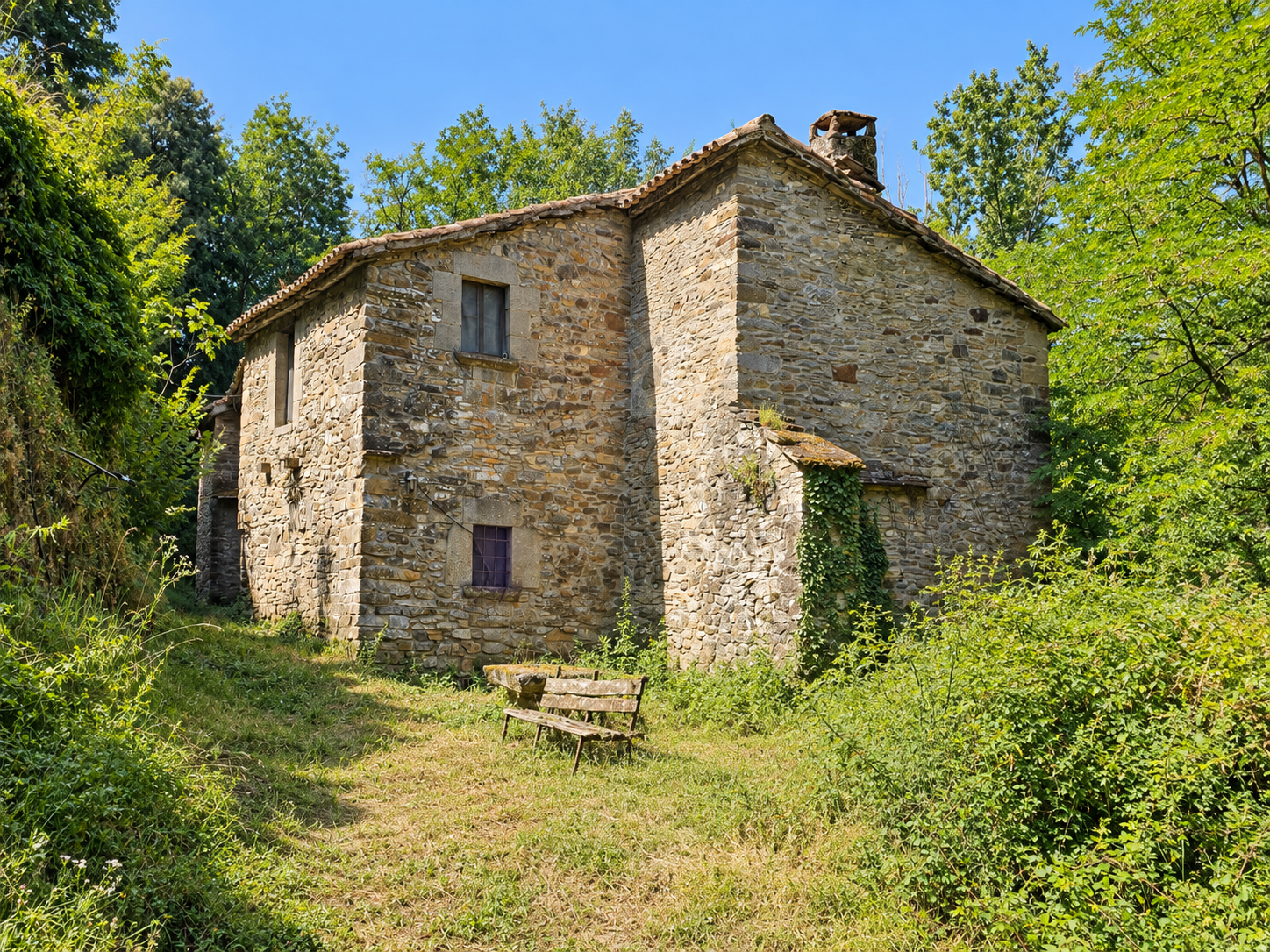 Masía histórica de piedra en Tavertet, finca rústica en Osona rodeada de bosque y paisaje natural, cerca del Pantano de Sau, con espacios interiores amplios y proyecto de recuperación.